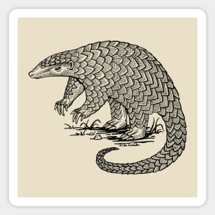 Pangolin1 Magnet